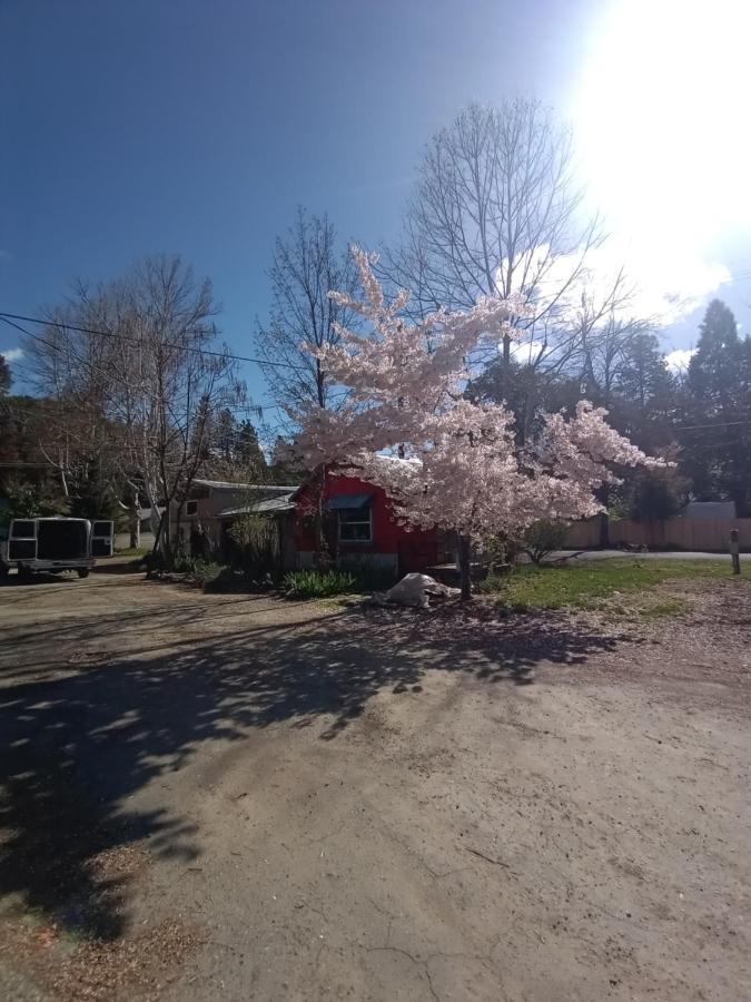 Bigfoot Rv & Cabins Park Happy Camp Exterior foto