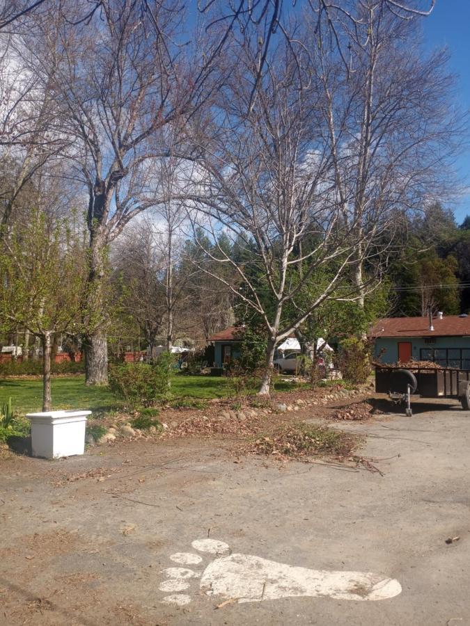 Bigfoot Rv & Cabins Park Happy Camp Exterior foto